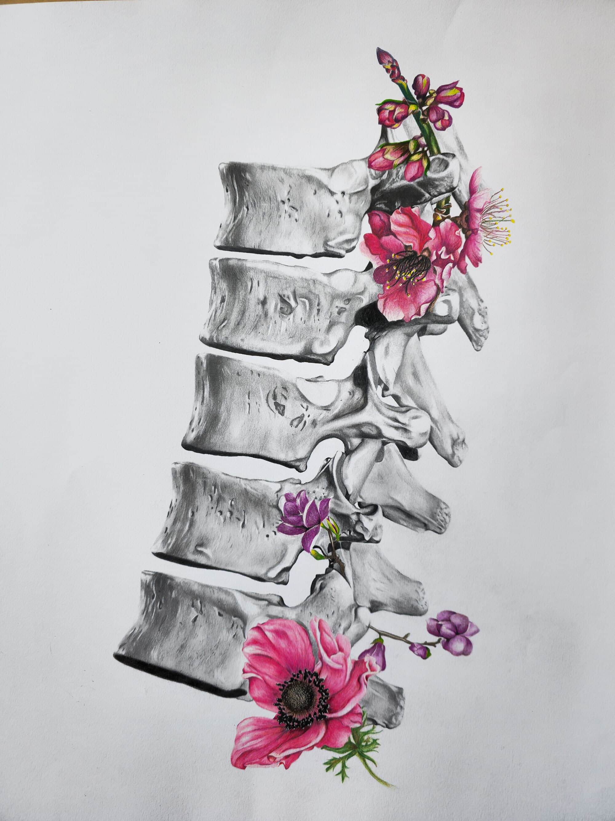 Brie Corser Thoracic spine