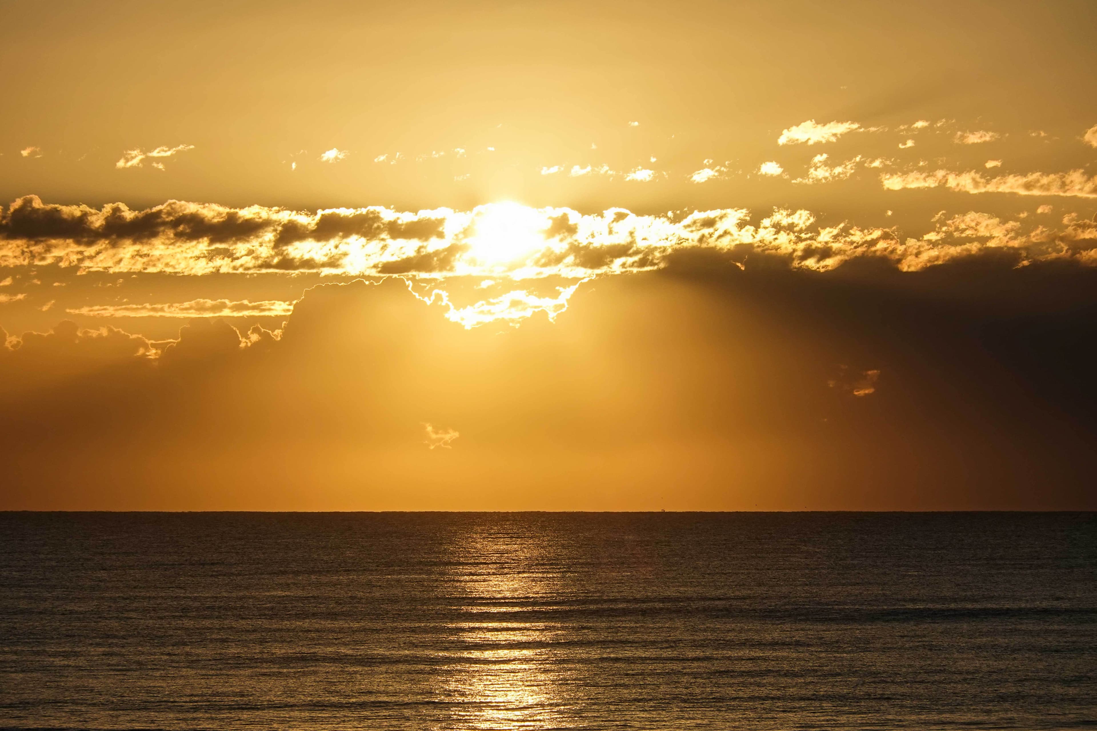 Gwendolyn Ferguson Sunrise