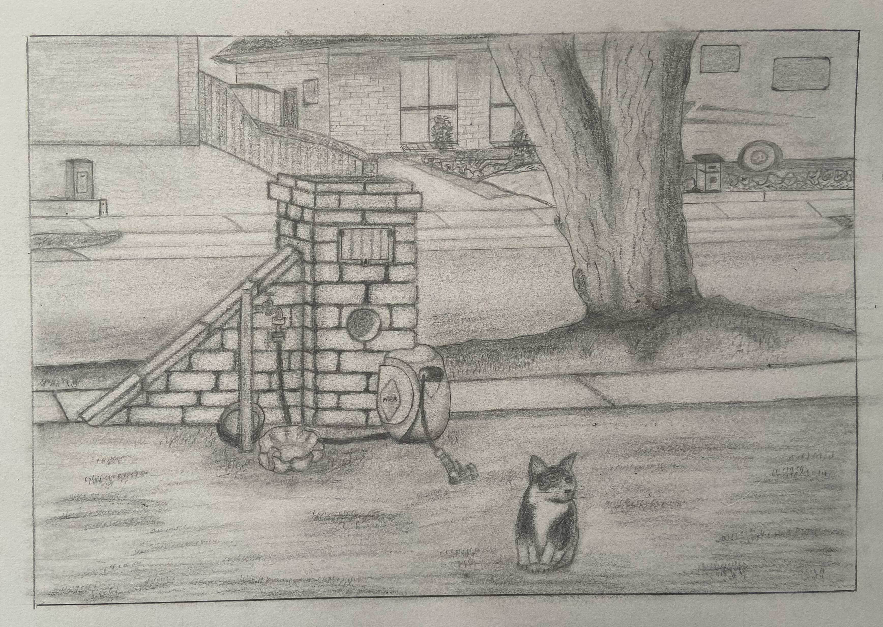 Out Front Cat by Heath Fraser