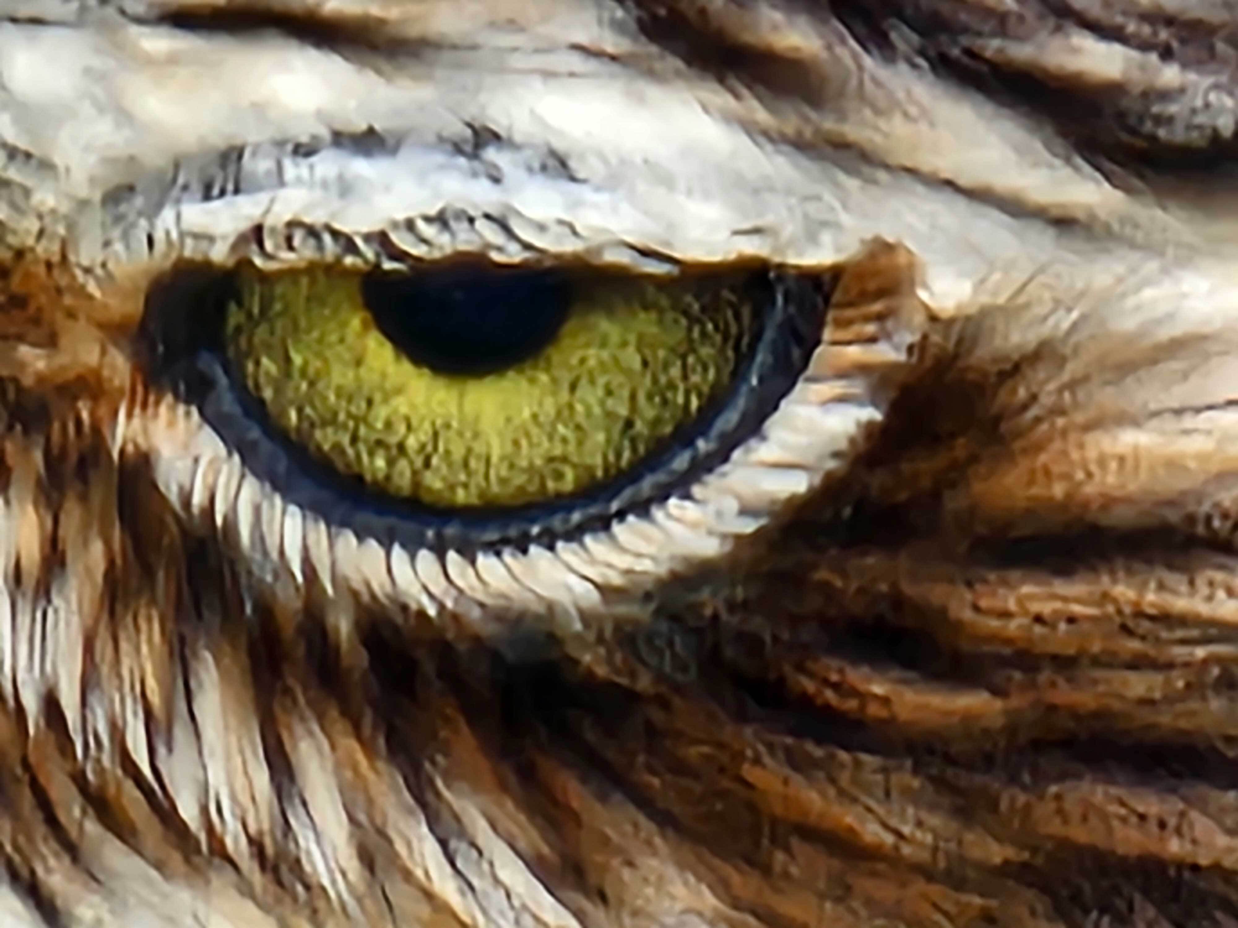 Leanne Wain Birds Eye 2