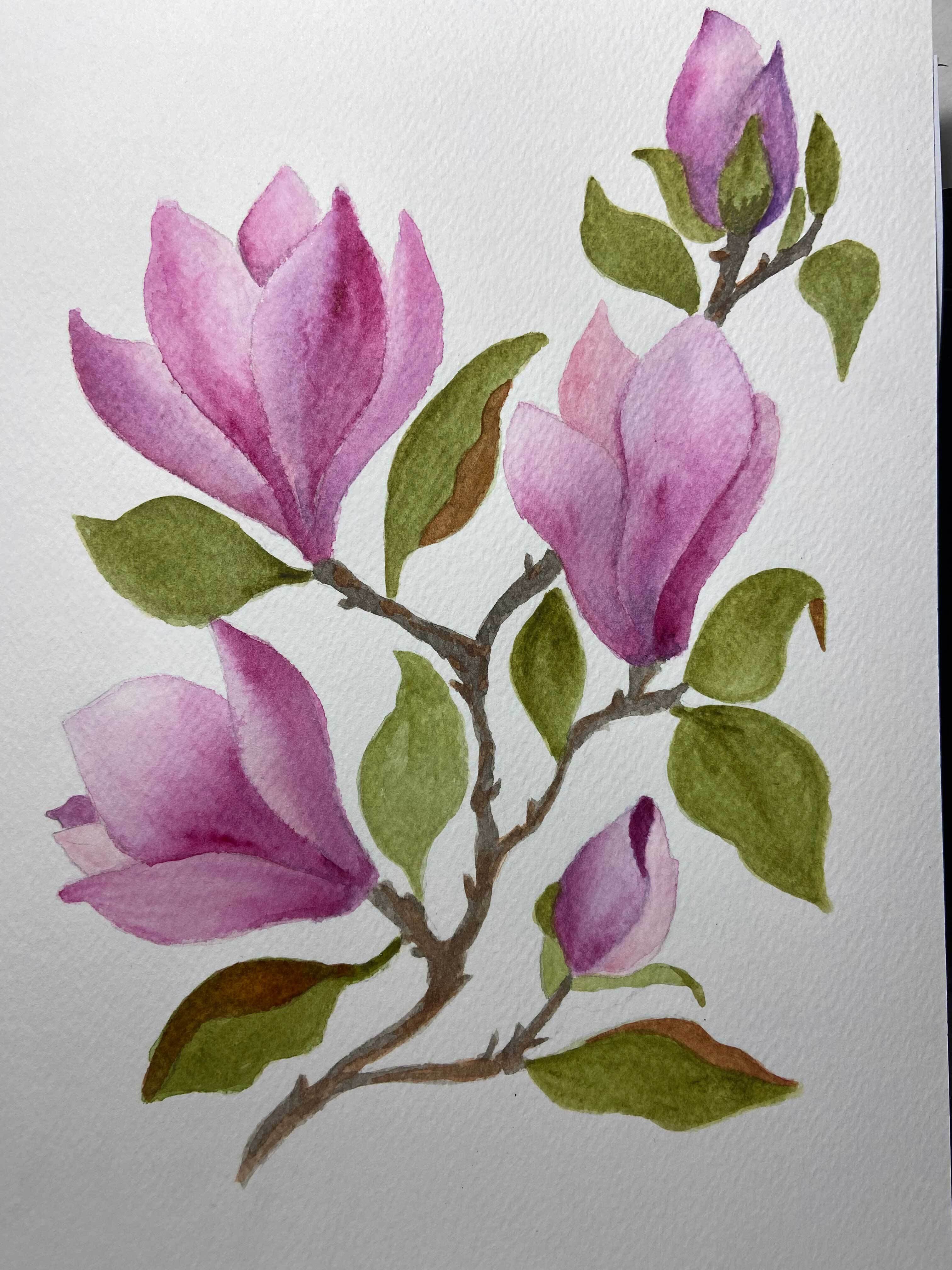 Magnolia by Mandi Keck