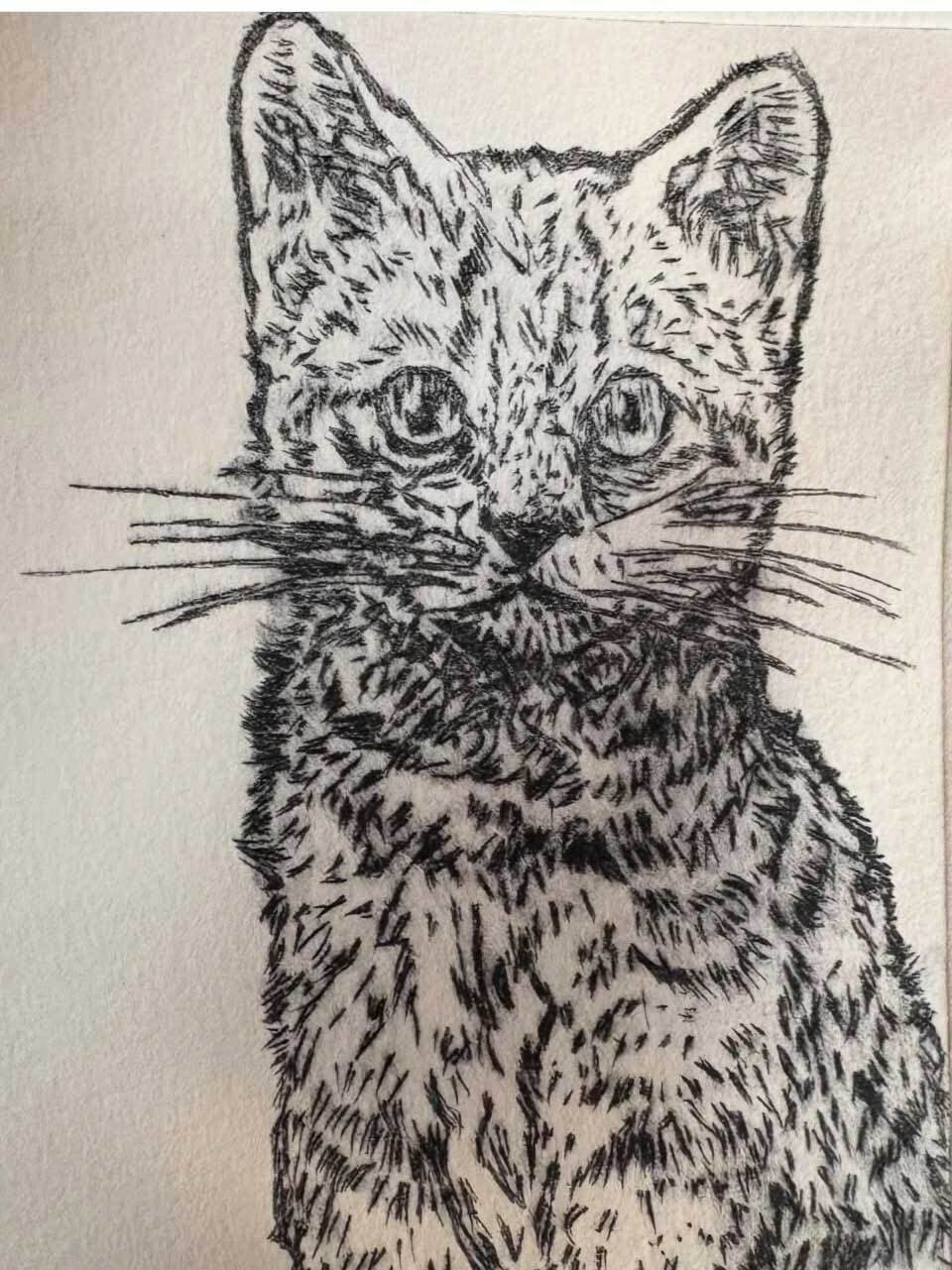 Kitty by Peta Robinson