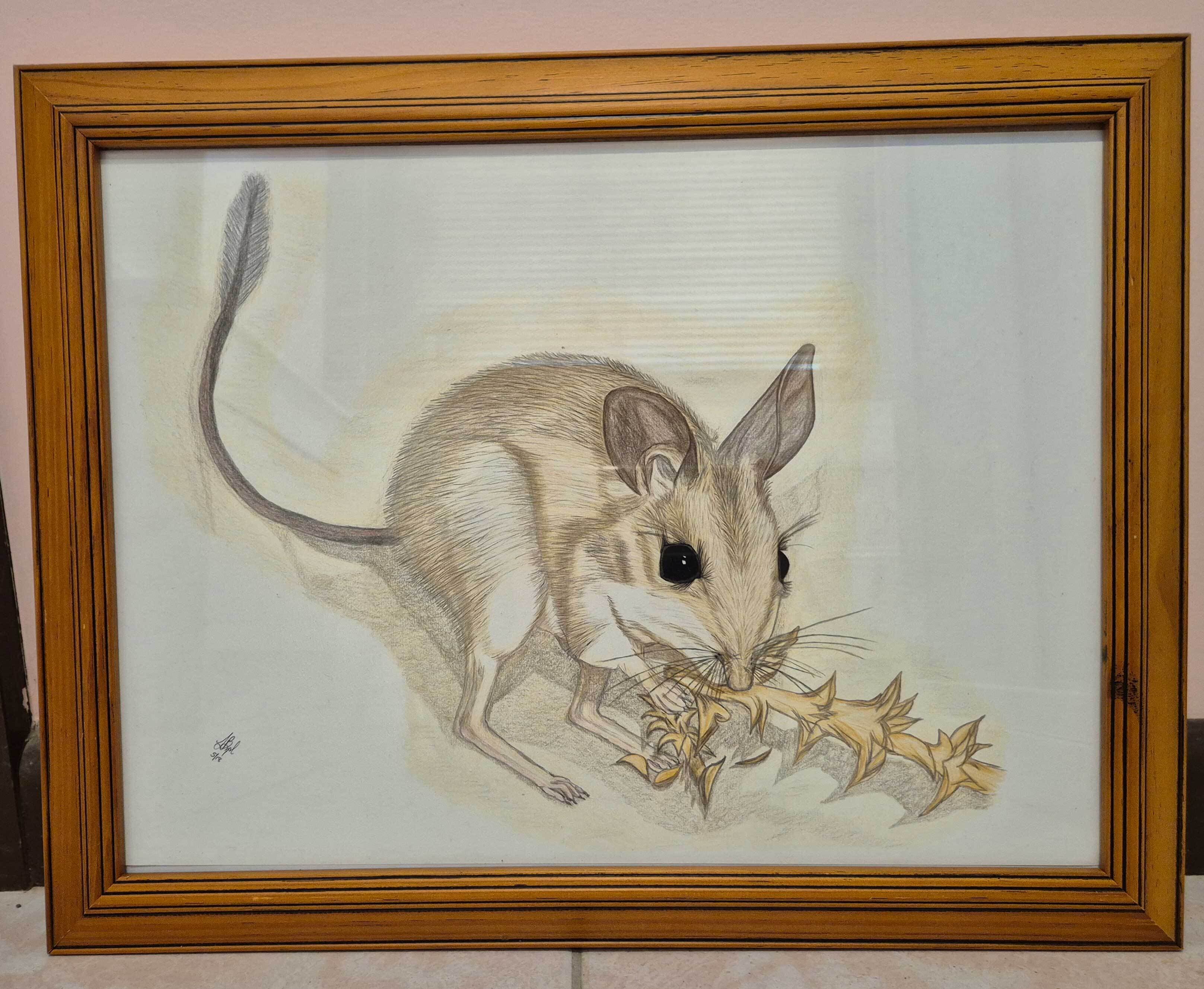 Sharon Boyd Hoppy