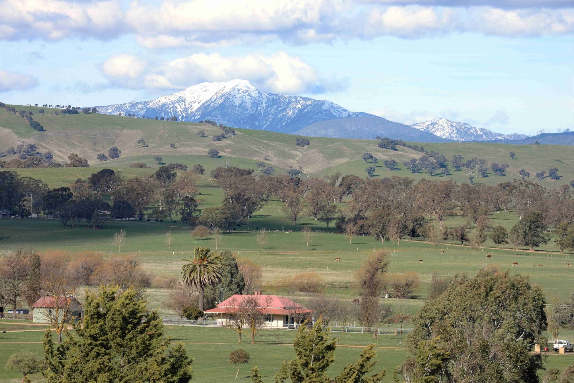 Mt Buller from our street