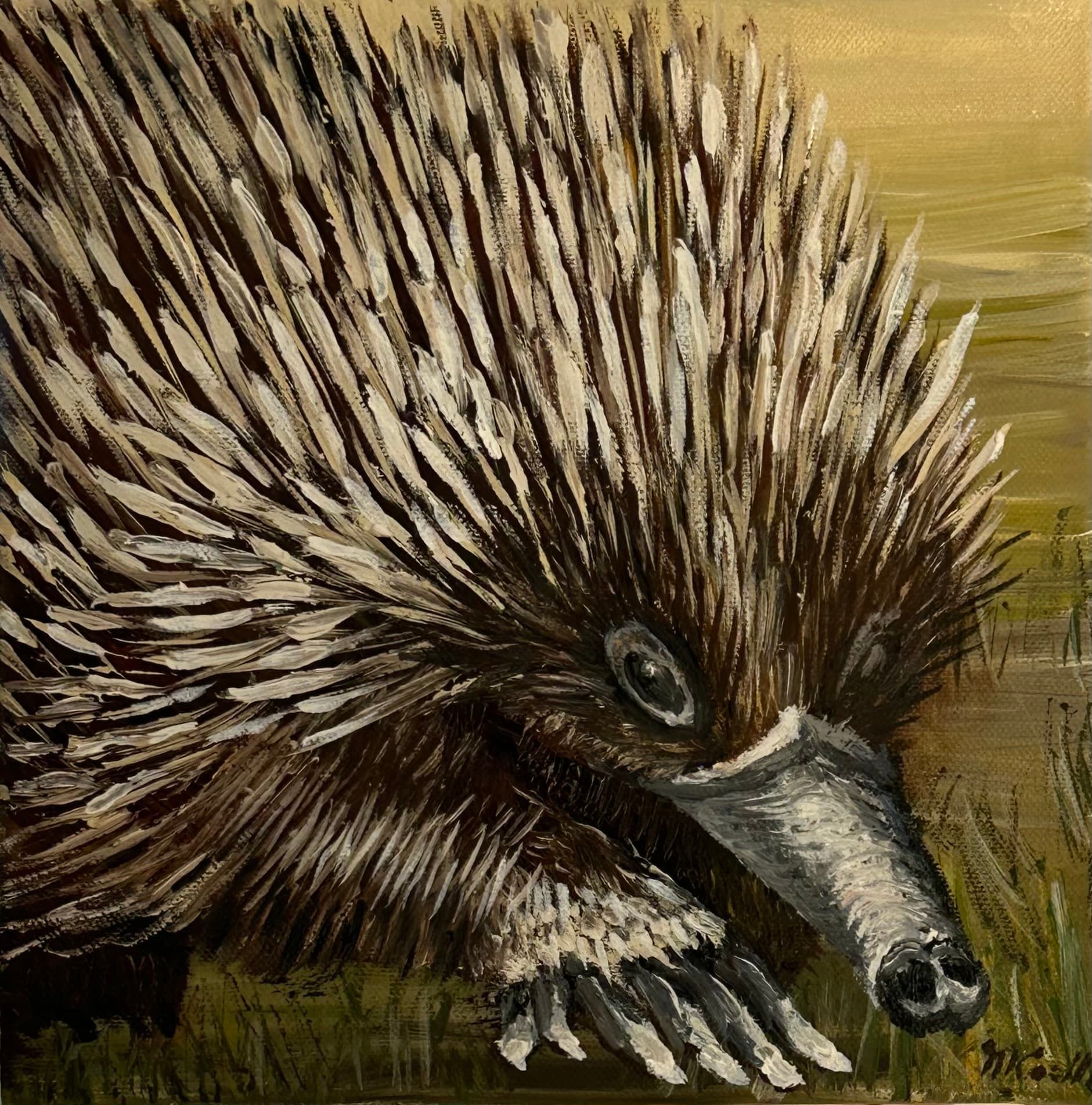 Native animal I love 3