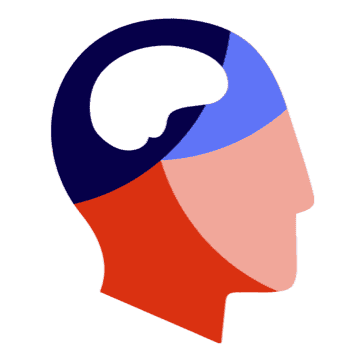 A human head highlighting brain and face in shades of red and blue