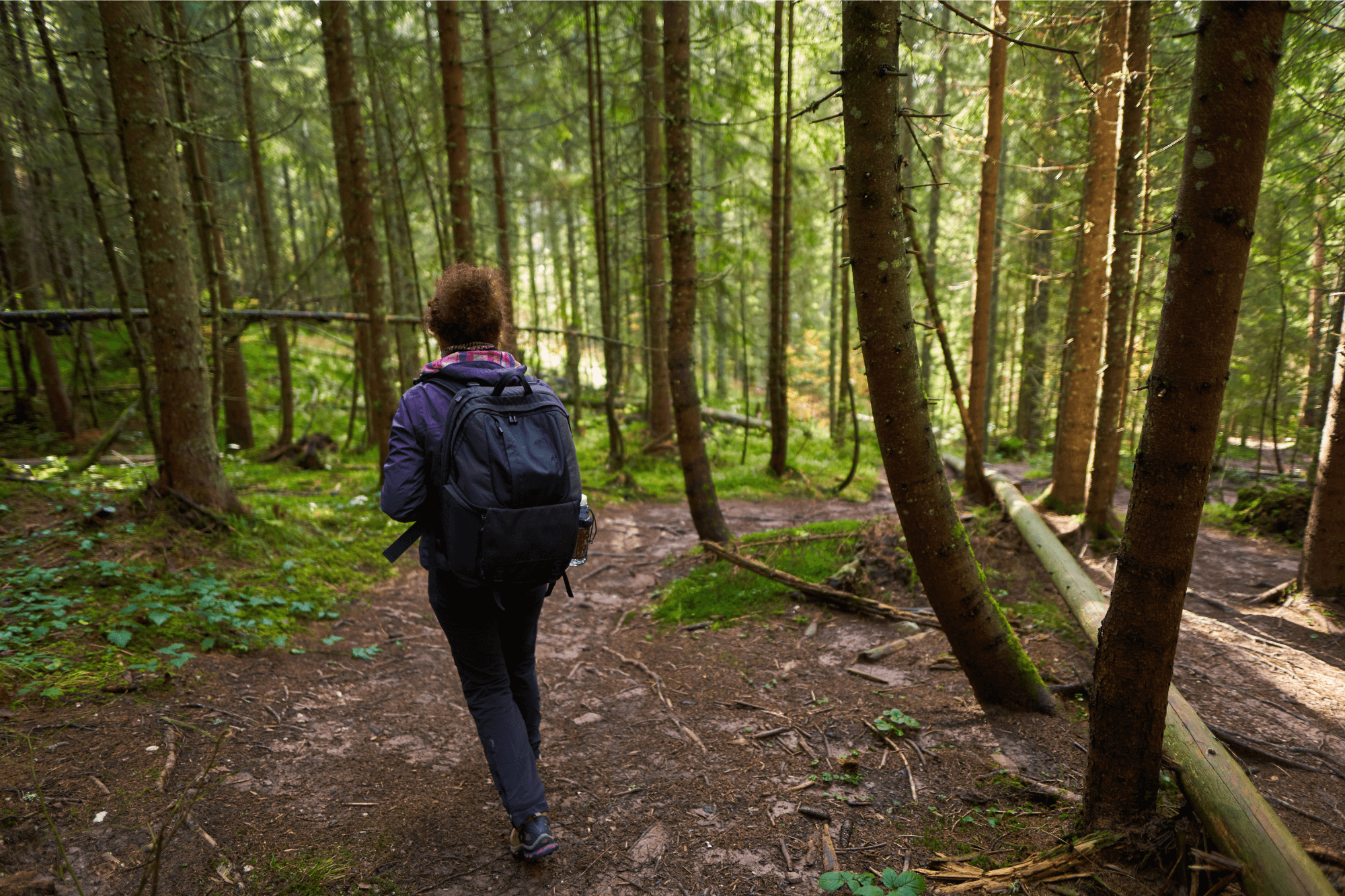 Untitled design 2024 11 21 T124440 180