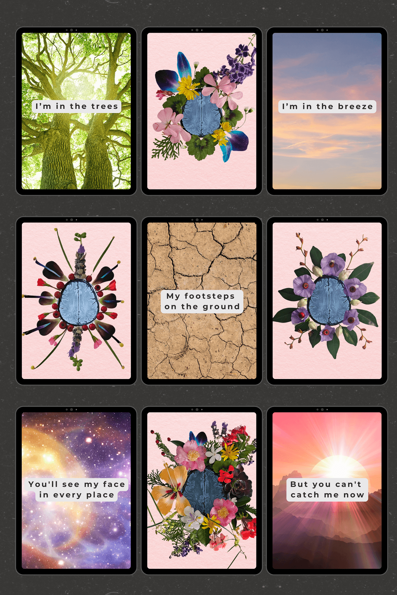 You Cant Catch Me Now