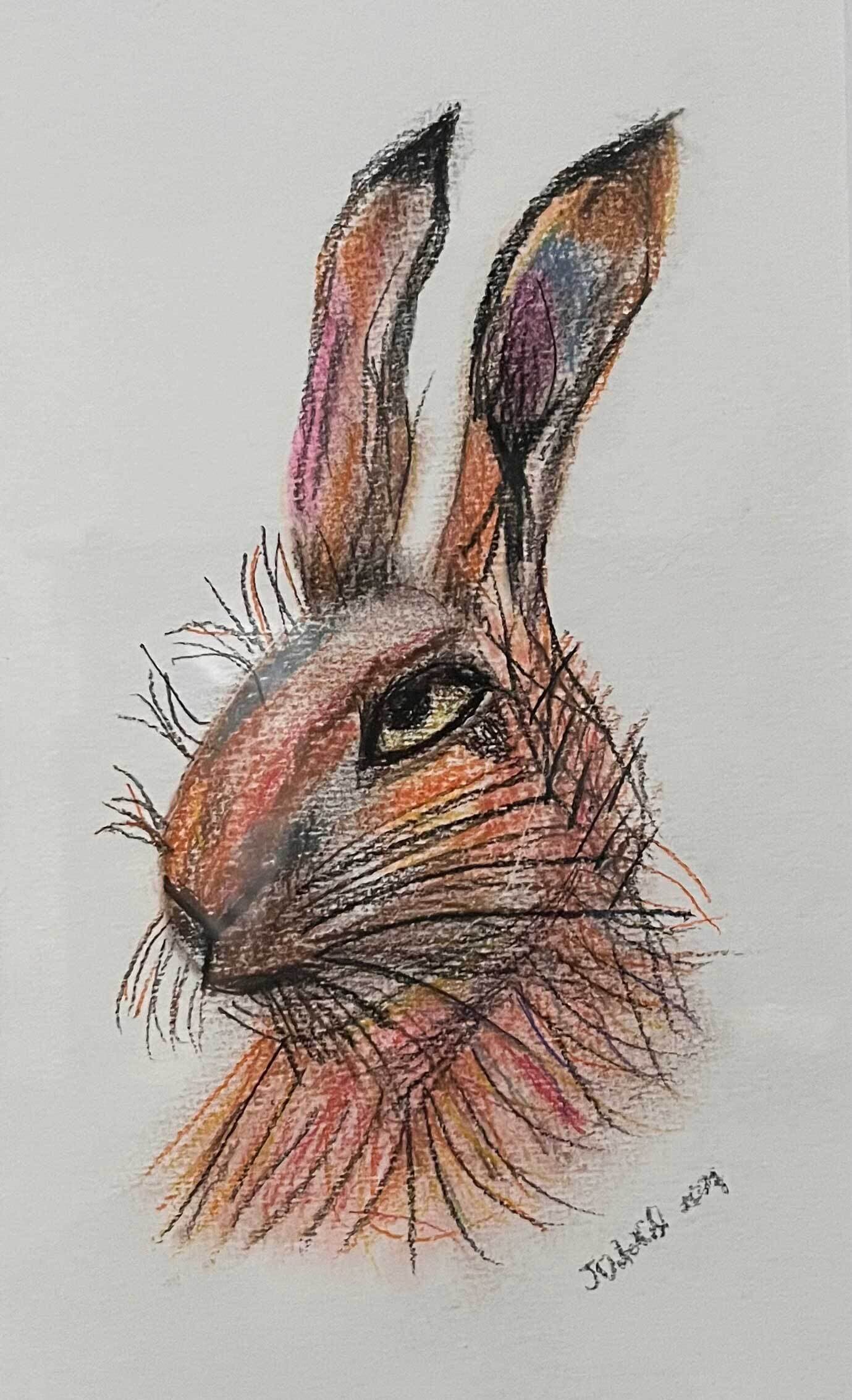 Angry Bunny by Julie Ditchfield