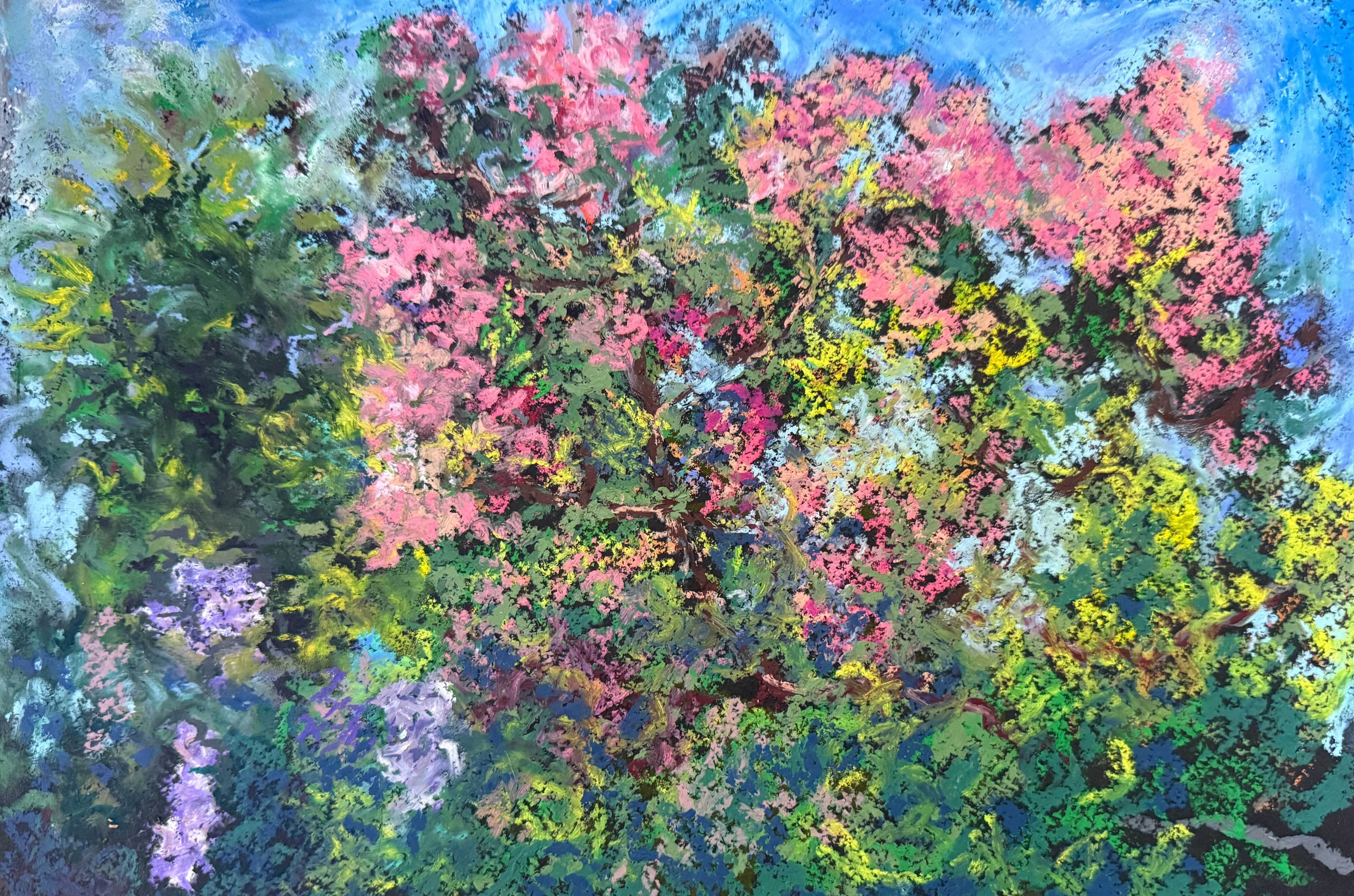 Crepe Myrtle late summer by Karen Vernon