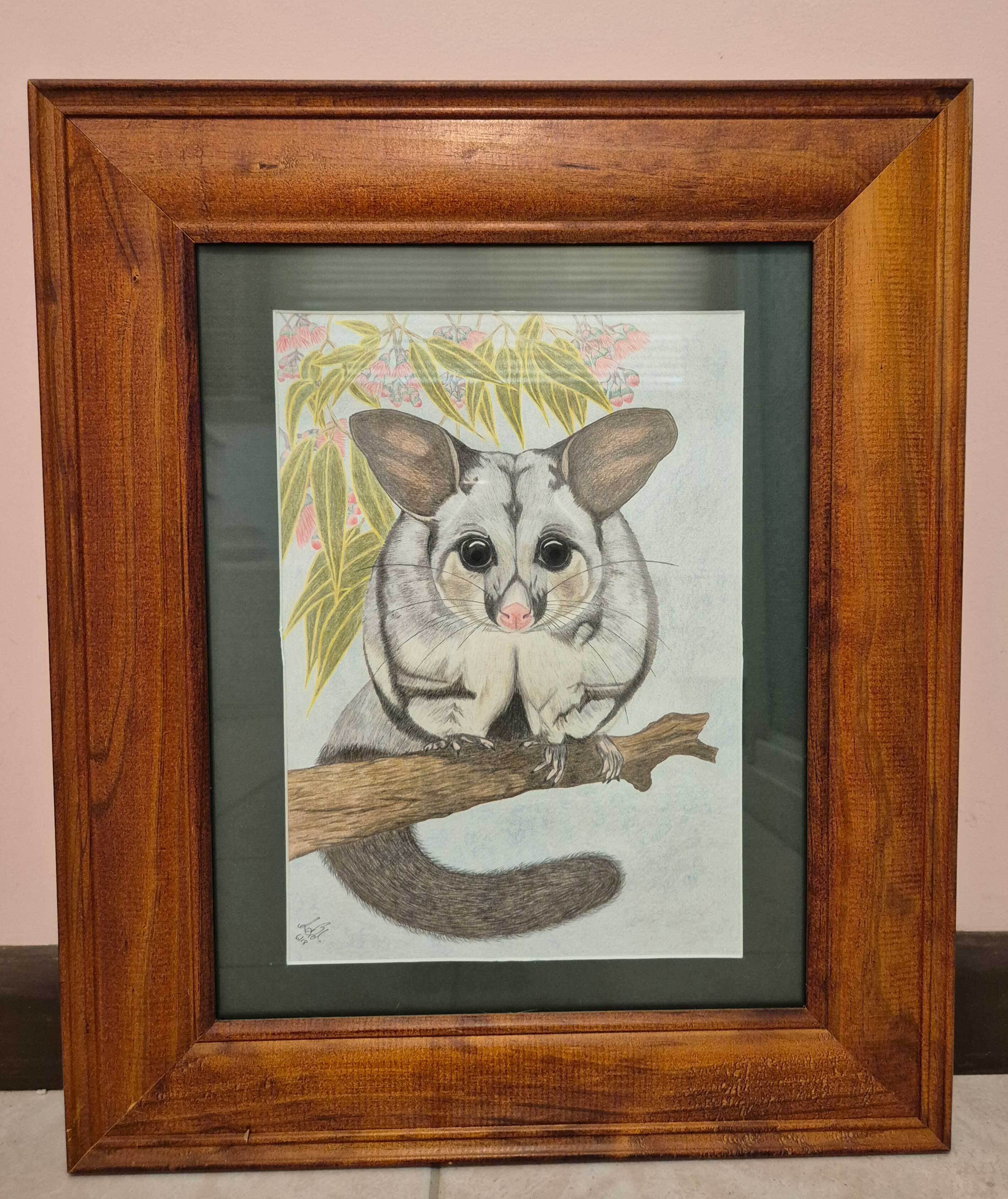 Sharon Boyd Staring Possum