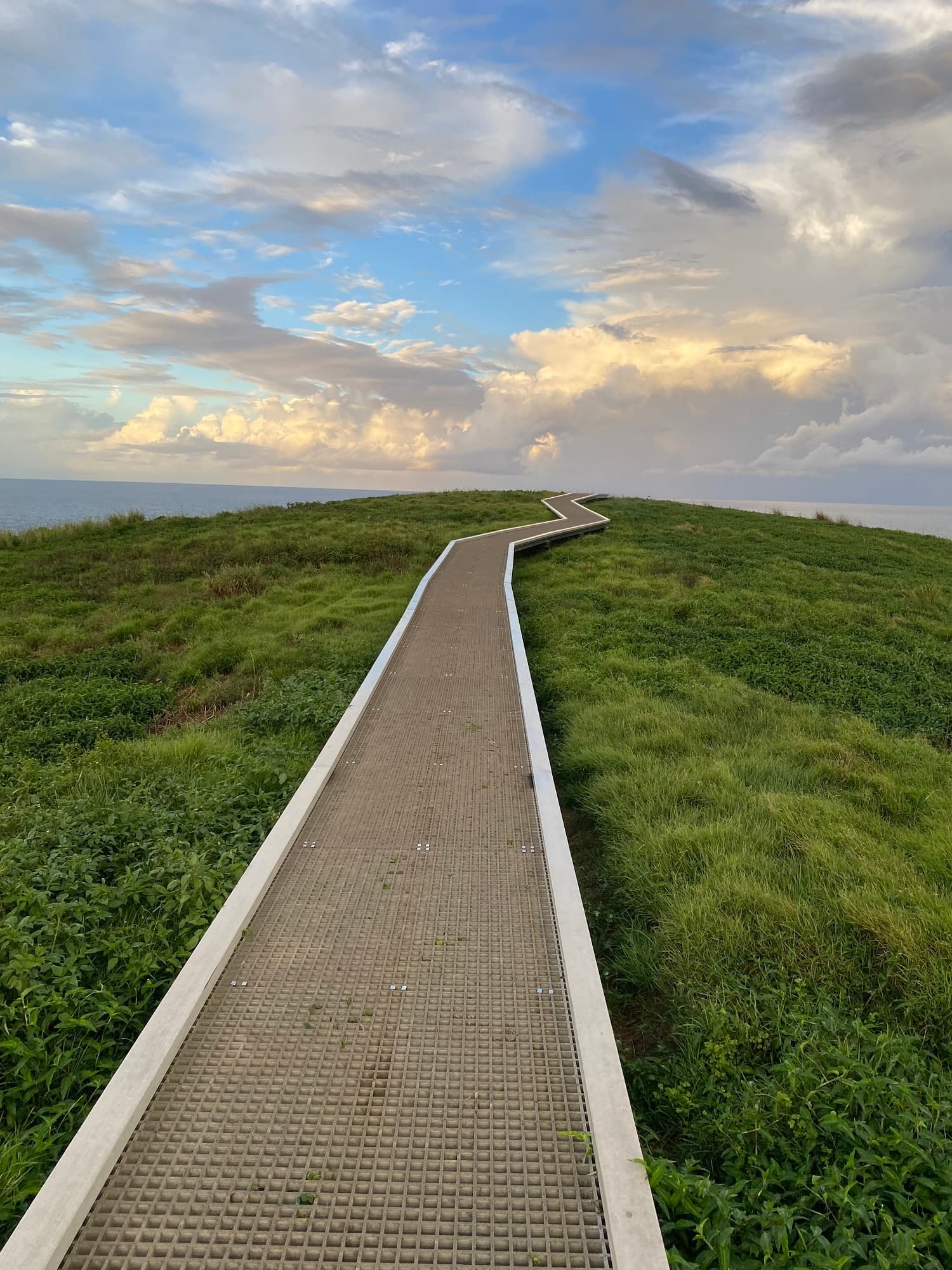 Navigating the MS Trail